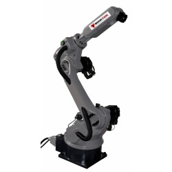 Industrial robot