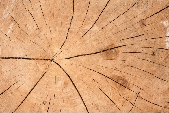 How and with what to sandblast wood?