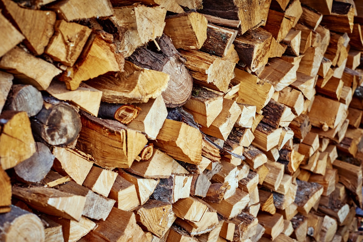 Production of firewood and wood for heating. Which machines should you choose?